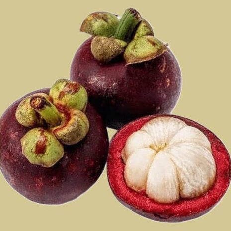 Mangostan (250gr)