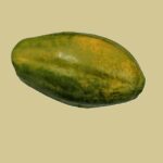 Papaya