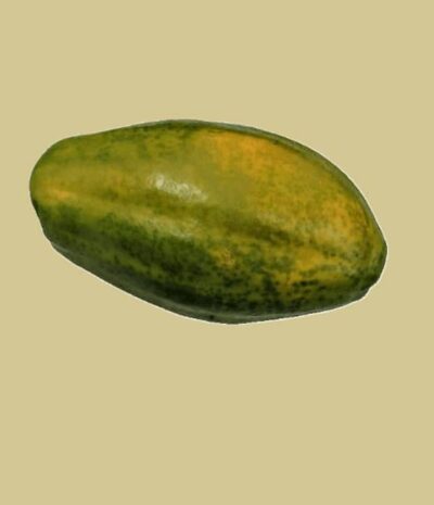 Papaya