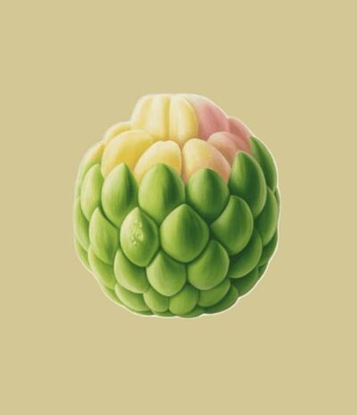 Sugar Apple (1kg)