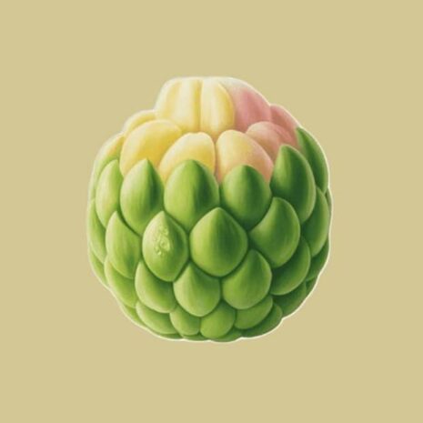 Sugar Apple (1kg)