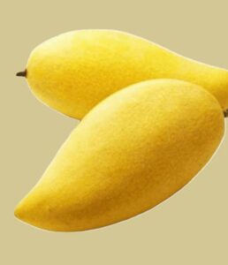 mango-nam-dok-mai