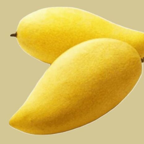 Mango Thailand