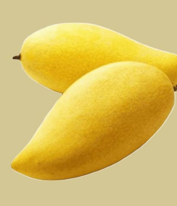 mango-nam-dok-mai