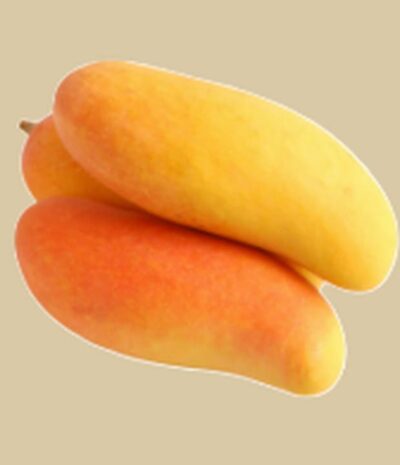 Mango Mahachanok