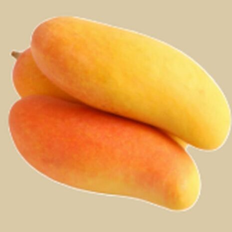 Mango Mahachanok