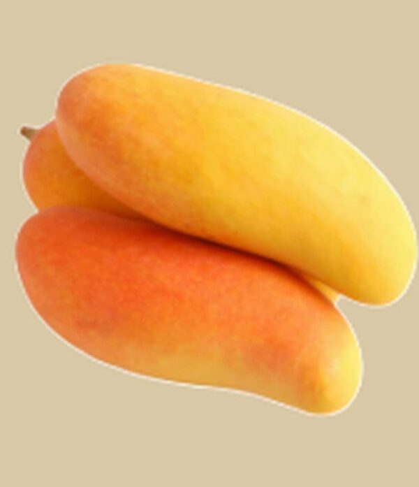 Mango Mahachanok