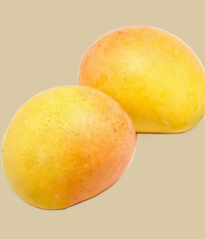 Mango Kensington