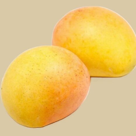 Mango Kensington
