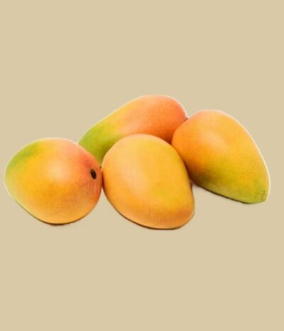 Mango Kensington – Bild 2