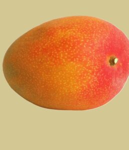 Königsmango-Royal-Mango