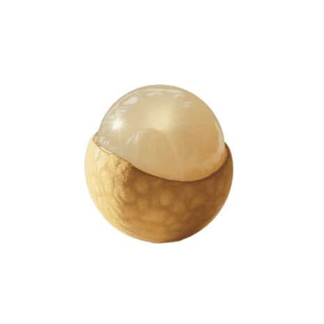 Longan (250g)