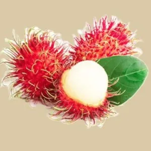 Rambutan