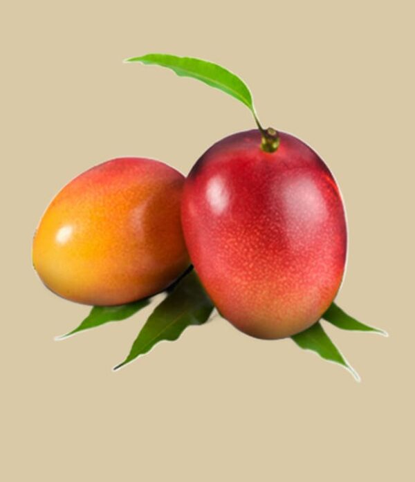 Mango Sinduri