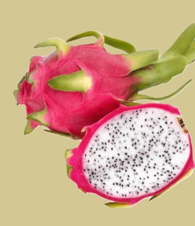 Rote Pitahaya (Drachenfrucht) (1st)