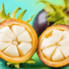 Mangostan