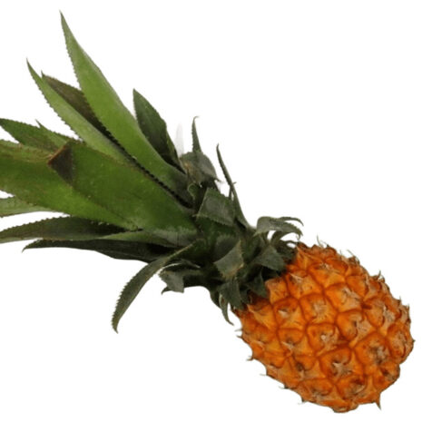 Baby-Ananas
