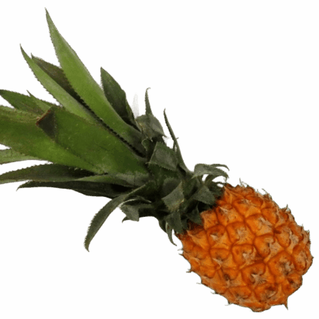 Baby-Ananas