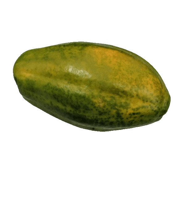 Papaya
