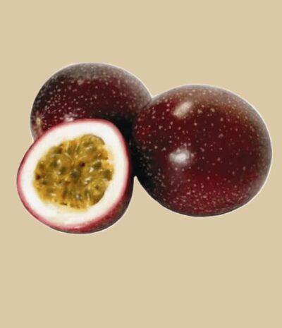 Maracuja (Passionsfrucht) – Bild 2