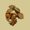Physalis (100gr)