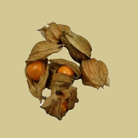 Physalis (100gr)