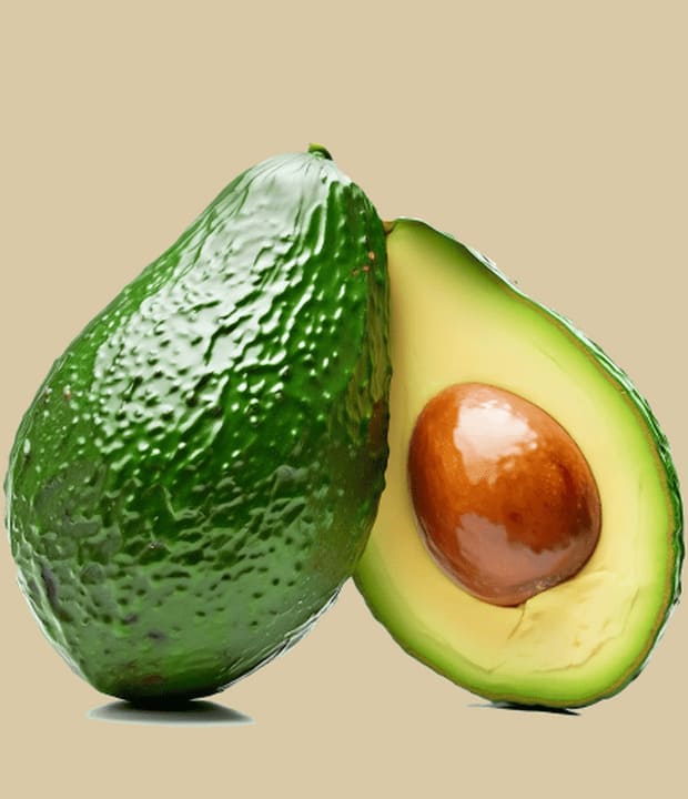 Avocado riesen