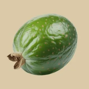 Feijoa Frucht