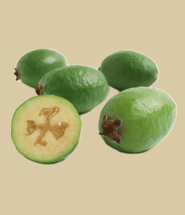 Feijoa Frucht