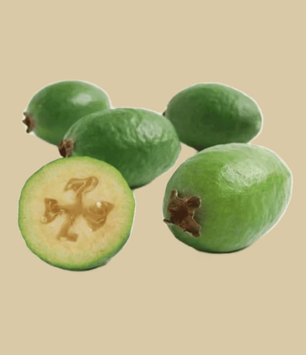 Feijoa Frucht