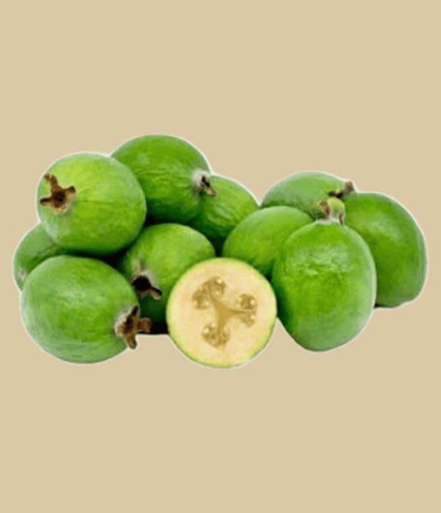 Feijoa Frucht