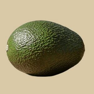 avacadoXXL