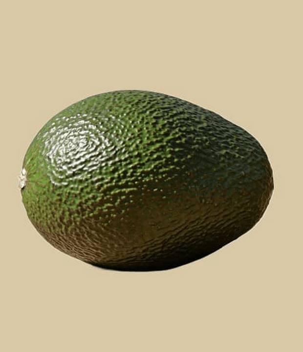 avacadoXXL