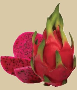 drachenfrucht rot