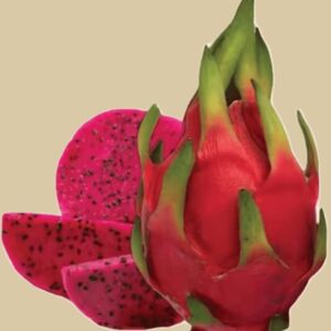 drachenfrucht rot