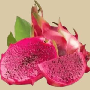 drachenfruit rot