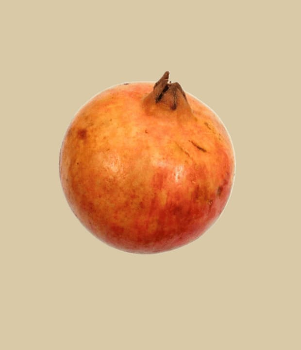granatapfel