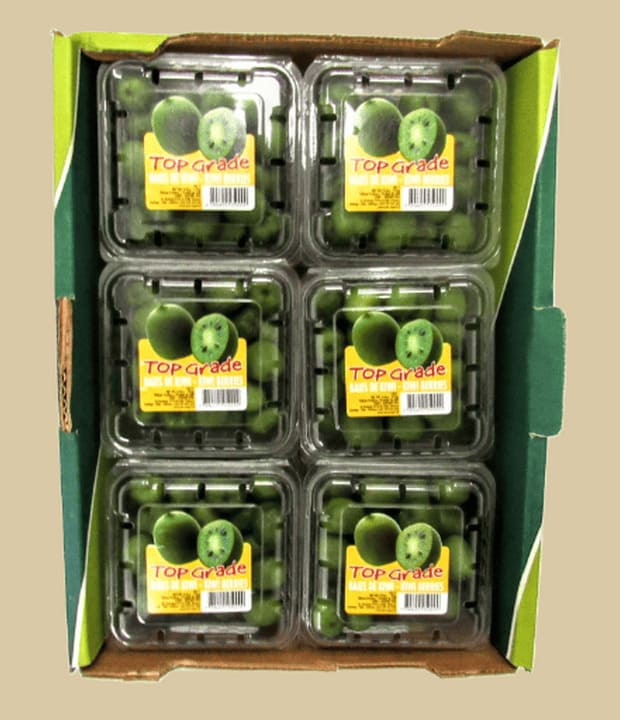 mini kiwi box