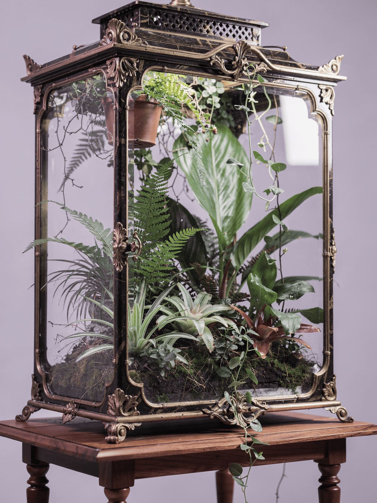 vintage wardian case victorian era plant terrarium